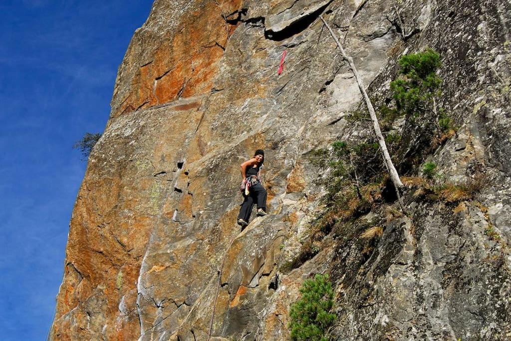 Ferienwohnung Alpenrose Ramsau im Zillertal Exterior foto